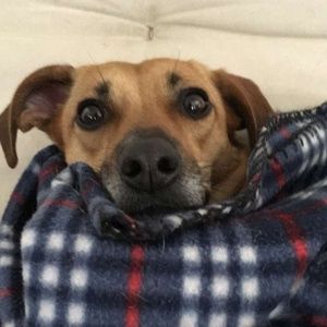 Meet your Posher, Nora